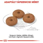 Royal Canin Mini Ageing 12+ 1,5kg