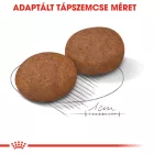 Royal Canin Medium Adult 7+  15kg