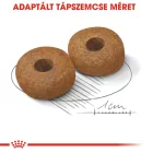 Royal Canin Medium Ageing 10+ 15kg