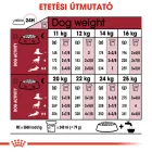 Royal Canin Medium Ageing 10+ 15kg