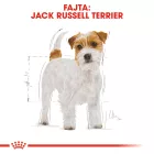 Royal Canin Jack Russell Adult 1,5kg