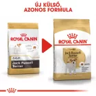 Royal Canin Jack Russell Adult 1,5kg