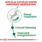 Royal Canin Mini Adult 8+ 8kg