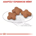 Royal Canin Mini Adult 8+ 8kg
