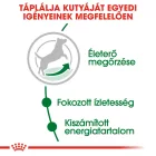 Royal Canin Mini Adult 8+ 2kg