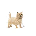 Royal Canin Mini Light Weight Care 8kg