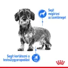Royal Canin Mini Light Weight Care 8kg