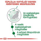 Royal Canin Mini Ageing Chunks in gravy 12*85g