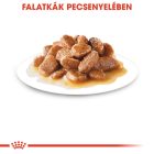 Royal Canin Mini Ageing Chunks in gravy 12*85g