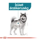 Royal Canin Maxi Joint Care 10kg