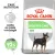 Royal Canin Mini Digestive Care 1kg