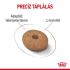 Royal Canin Mini Light Weight Care 3kg