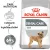 Royal Canin Mini Dental Care 8kg