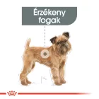 Royal Canin Mini Dental Care 8kg