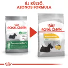 Royal Canin Mini Dermacomfort 8kg