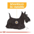 Royal Canin Mini Dermacomfort 8kg