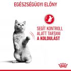 Royal Canin Appetite Control Care - Jelly 12*85g
