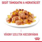 Royal Canin Appetite Control Care - Jelly 12*85g