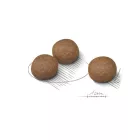 Royal Canin Medium Digestive Care 12kg