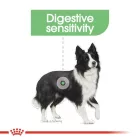 Royal Canin Medium Digestive Care 12kg