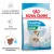 Royal Canin Mini STARTER Mother & Babydog 4kg