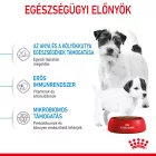 Royal Canin Mini STARTER Mother & Babydog 4kg