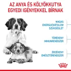 Royal Canin Medium Starter Mother & Babydog 15kg
