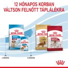 Royal Canin Medium Puppy 4kg