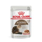 Royal Canin Ageing 12+ Gravy 12*85g