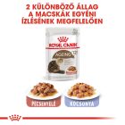 Royal Canin Ageing 12+ Gravy 12*85g