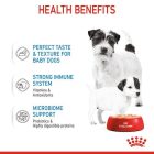 Royal Canin STARTER Mother & Babydog – Ultra soft mousse 12*195g