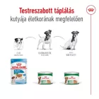 Royal Canin Mini Adult 12*195g
