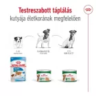 Royal Canin Mini Ageing 12*195g