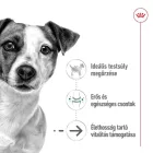 Royal Canin Mini Ageing 12*195g