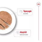 Royal Canin Mini Ageing 12*195g
