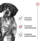Royal Canin Medium Adult 12*410g