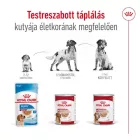 Royal Canin Medium Adult 12*410g