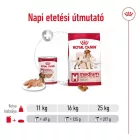 Royal Canin Medium Adult 12*410g