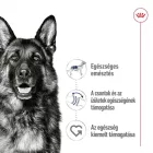 Royal Canin Maxi Adult 12*410g