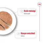 Royal Canin Maxi Adult 12*410g