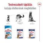 Royal Canin Maxi Adult 12*410g