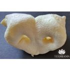 Teomann puffasztott sertésorr 10 db