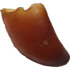 Teomann Szárított Borjúpata 10 db