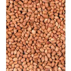 Versele-Laga Menu Nature Peanuts 2kg
