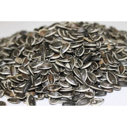 Vitafitt csíkos napraforgó 600ml/300g